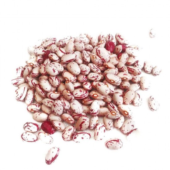 Bax 12 Conserve Fasole Pestrita Home Garden, 400 g, Conserva de Fasole, Fasole la Conserva, Fasole Pestrita la Cutie, Home Garden Fasole, Fasole la Cutie Home Garden, Fasole la Cutie 400 g, Boabe de Fasole Pestrita Home Garden