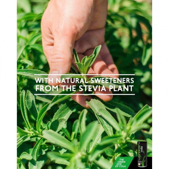 Bautura Carbogazoasa Green Cola, 1.5 L, Sucuri Acidulate, Green Cola 1.5L Suc, Sucuri Carbogazoase, Sucuri cu Acid, Bauturi Racoritoare Acidulate Green Cola 1.5L, Bauturi Racoritoare Carbogazoase, Bauturi Non-Alcoolice