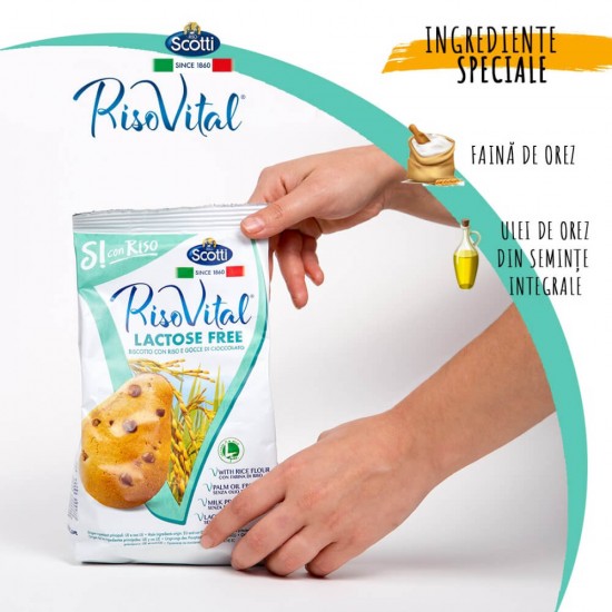 Biscuiti din Orez cu Bucati de Ciocolata Riso Vital, 350g, Biscuiti fara Lactoza cu Ciocolata, Biscuiti Vegani, Biscuiti Naturali, Biscuiti cu Faina de Orez, Biscuiti cu Ciocolata, Biscuiti cu Bucati de Ciocolata, Biscuiti Riso Vital