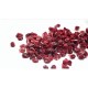 Merisor Aroma Spice, 12 Pachete x 100 g, Merisoare Uscate, Merisoare Confiate, Merisoare Deshidratate, Merisor Uscat, Merisor Confiat, Merisor Deshidratat, Fructe Uscate, Fructe Confiate, Fructe Deshidratate, Merioare pentru Prajituri
