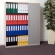 Biblioraft Plastifiat Standard Esselte, 5 cm, Fucsia, Biblioraft, Biblioraft Plastic, Biblioraft Standard,  Biblioraft Esselte, Bibliorafturi, Bibliorafturi Esselte, Dosare Organizare Documente, Dosar Arhivare