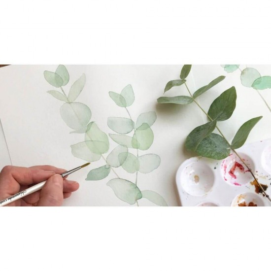 loc Desen Acuarela A4 Daco, 24 File, 190 g/m², Bloc Hartie pentru Acuarele, Hartie Pentru Vopsele Acuarele, Bloc de Desen pentru Culori pe Baza de Apa, Bloc de Desen A4, Blocuri Desen A4, Blocuri pentru Desen, Bloc Desen Pictat