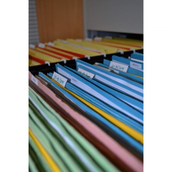 Set 10 Folii Protectie Documente A4 Esselte, 55 Microni, Albastra, Folie Protectie Documente, Folii A4, Folii A4 Protectie, Folii pentru Documente, Folii Transparente Protectie, Folie Transparenta Protectie, Folie Transparenta Documente