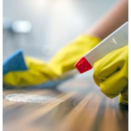 Lavete Super Absorbante SCOTCH BRITE, 20x18 cm, 5 Buc/Set, Diverse Culori, Diverse Culori, Diverse Culori, Lavete Scotch Brite, Lavete Absorbante Scotch Brite, Laveta Absorbanta, Lavete Absorbante, Lavete pentru Curatenie