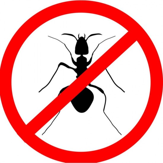 Spray Anti Insecte Raid Max 3 in 1, 400 ml, Insecticid, Ideal pentru Gandaci si Furnici, Spray Insecticid pentru Taratoare, Spray Raid Anti Gandaci si Furnici, Spray Raid Impotriva Gandacilor si Furnicilor, Insecticid Raid, Insecticide Raid