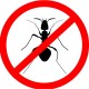 Spray Anti Insecte Raid Max 3 in 1, 400 ml, Insecticid, Ideal pentru Gandaci si Furnici, Spray Insecticid pentru Taratoare, Spray Raid Anti Gandaci si Furnici, Spray Raid Impotriva Gandacilor si Furnicilor, Insecticid Raid, Insecticide Raid