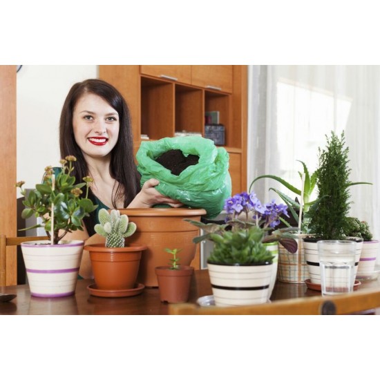 Farfurie Ghiveci M1 Sentosa, Maro, Farfurie Ghiveci pentru Plante, Farfurie Ghiveci pentru Planta, Farfurie Ghiveci Maro pentru Plante, Farfurie Ghiveci pentru Floare, Farfurie Ghiveci pentru Flori