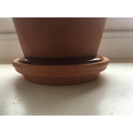 Farfurie Ghiveci M1 Sentosa, Maro, Farfurie Ghiveci pentru Plante, Farfurie Ghiveci pentru Planta, Farfurie Ghiveci Maro pentru Plante, Farfurie Ghiveci pentru Floare, Farfurie Ghiveci pentru Flori