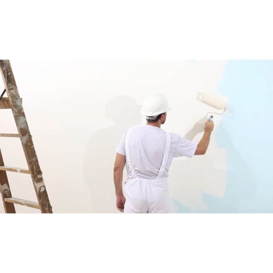 Aditiv Antimucegai Mellerud, 500 ml, Aditiv pentru Indepartarea Mucegaiului, Aditiv Materiale de Constructii, Aditiv Vopsea, Aditivi Vopsele, Agent de Protectie Antimucegai, Aditiv Adeziv, Aditivi Adezivi, Produse de Curatare Mellerud