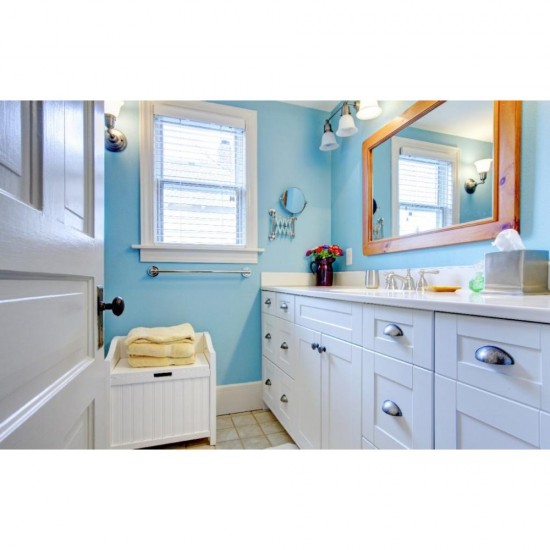 Odorizant Dezinfectant Sanytol, 300 ml, pentru Aer, Textile si Suprafete, Parfum de Flori Margaritar, Dezodorizant Aer, Dezinfectant Aer, Dezodorizant Textile, Dezinfectant Textile, Dezinfectant Suprafete, Dezinfectant Aerosol