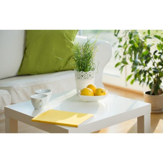 Odorizant Dezinfectant Sanytol, 300 ml, pentru Aer, Textile si Suprafete, Parfum de Flori Margaritar, Dezodorizant Aer, Dezinfectant Aer, Dezodorizant Textile, Dezinfectant Textile, Dezinfectant Suprafete, Dezinfectant Aerosol