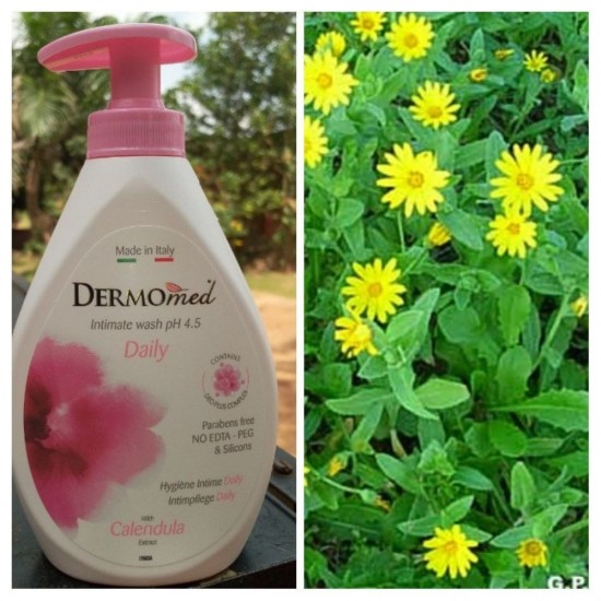 Sapun Lichid Intimo Sensitive DERMOMED, Cantitate 250 ml, Gel Intim, Sapun Intim Sensitive, Sapun Lichid Sensitive, Sapun Hidratant, Sapun Parfumat