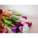 Ser Antirid Elmiplant Multicollagen 30ml, Ser Antirid Multicollagen, Ser pentru Fata Elmiplant Multicollagen, Ser Antirid pentru Fata Multicollagen, Ser Antirid cu Collagen, Serum Anti Rid, Ser Antiriduri, Ser Anti Imbatranire