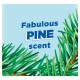 Odorizant WC DUCK, Tip Banda, Pine, 27 g, Odorizante WC, Duck WC Odorizant, Banda Curatare WC, Solutie WC Banda, Curatare WC Duck, Odorizant Curatare WC, Dezinfectare WC, Odorizant WC Parfum