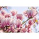 Air Wick Freshmatic cu Spray Odorizant de Camera, Magnolia, 250 ml, Set Aparat Air Wick Freshmatic si Spray Odorizant Tip Aerosol, Aparat Odorizant de Camera Automat, Aparate Odorizante Air Wick, Odorizant Tip Aerosol Automat
