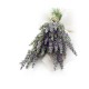 Rezerva Odorizant GLADE Spray, Lavanda si Iasomie, 269 ml, Rezerva Glade Lavanda si Iasomie, Glade Spray Rezerva Lavanda, Rezerva Glade cu Parfum de Lavanda si Iasomie, Rezerva Glade 269ml, Rezerva Odorizant Glade Lavanda si Iasomie