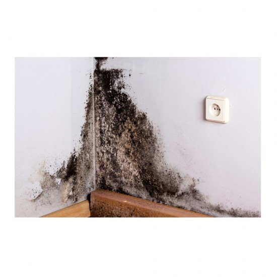 Solutie Antimucegai Fara Clor Bison, 500 ml, cu Pulverizator, Solutie Contra Mucegaiului, Solutie Impotriva Mucegaiului, Solutie Anti Mucegai, Solutie Eliminare Mucegai, Solutie Curatare Mucegai, Pulverizator Mucegai, Solutie Mucegai Fara Clor