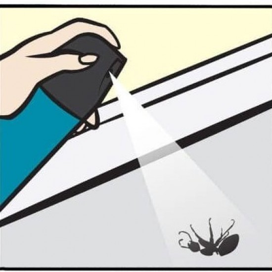 Spray Insecticid BAYGON, 400 ml, contra Gandaci si Furnici, Spray Insecticid, Solutie pentru Gandaci si Furnici, Solutie Pulverizatoare pentru Gandaci si Furnici, Spray pentru Insecte, Solutie Anti Gandaci, Solutii Insecticide, Spray Anti Furnici