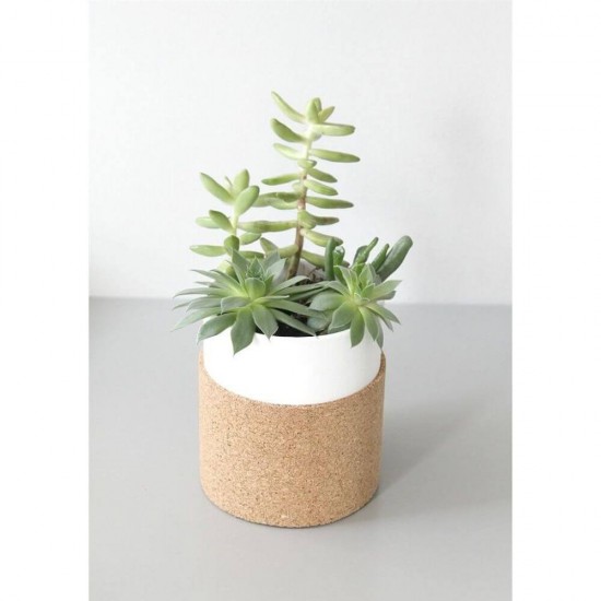 Banda de Pluta DACO, 8x90 cm, Natur, Accesorii Creatie, Accesorii Craft, Pluta de Pictat, Banda Pluta Decorativa, Decoratiuni Pluta, Banda Pluta Adeziva, Banda Pluta Decor