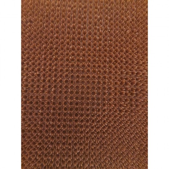 Covoras Usa KLIP, 60x40 cm, Portocaliu, Covorase Intrare KLIP, Covoras Plastic pentru Usa, Pres Usa, Presuri Intrare, Covorase Intrare si Presuri, Presuri pentru Curte si Gradina, Presuri Exteriori