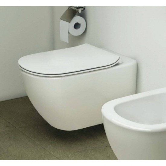 Capac WC cu Inchidere Lenta Ideal Standard Wand Tesi Slim, 40x30x10 cm, Acrilic Alb, Capac pentru Wc, Capace Wc cu Inchidere Lenta, Ideal Standard Capace Wc cu Inchidere Lenta, Capace Toaleta cu Inchidere Lenta, Obiecte Sanitare