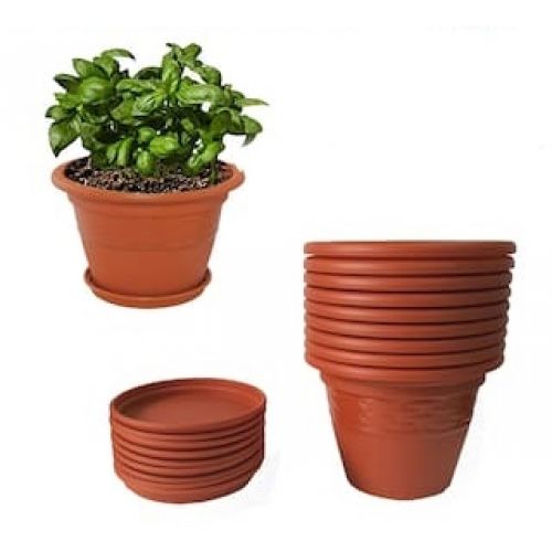 Ghivece si Suporturi