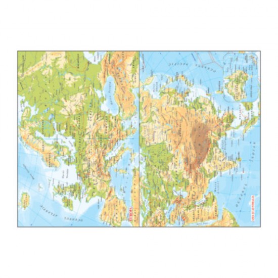 Agenda A5 Zilnica Ego Basic, Datata 2022, 352 File, Rosu Inchis, 7 Pagini Color, 70 g/m², Coperta Imitatie Piele, Agenda Planificari, Agenda Planificari Zilnice, Agenda A5, Agenda A5 Zilnica, Agenda A5 Planificari, Agenda Dictando