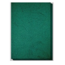 Coperti Indosariere EVOffice din Carton Tip Imitatie Piele A4, Culoare Verde, 250 g/m², 100 Coli/Top - Accesorii Indosariat