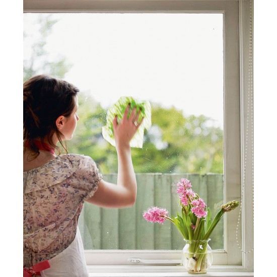 Detergent Geamuri Amiano, 5 L, Detergent pentru Geamuri, Detergent Sticla, Detergent pentru Sticla, Detergent pentru Suprafete din Sticla, Detergent Oglinzi, Detergent pentru Oglinzi, Detergent Oglinda, Detergent pentru Oglinda