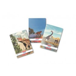 Caiet A5 48f Dictando Dino Mania