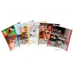 Caiet A5, 48 File - 80g/mp, Liniat Stanga, Coperta Imagini Cu Animale, Aurora Splendid - Dictando