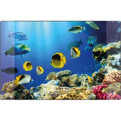 Mapa Birou 38 X 58 Cm, Kangaro - Imagine Acvariu